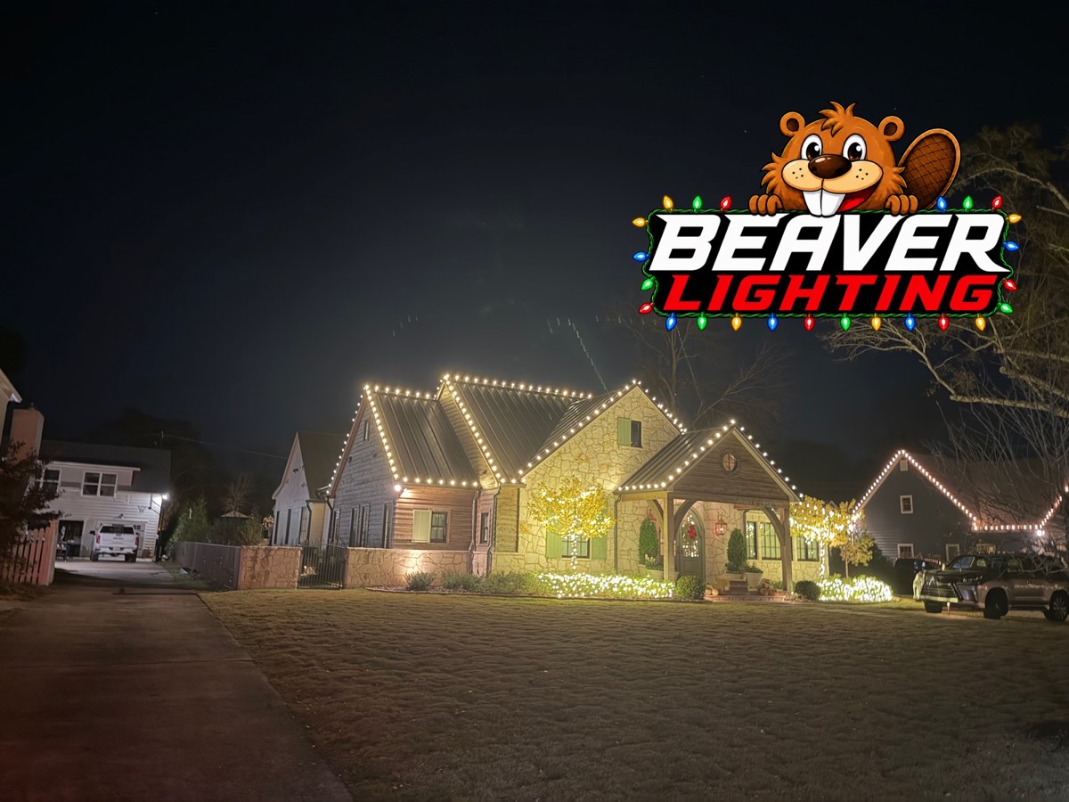 Beaver Lighting project photo 071
