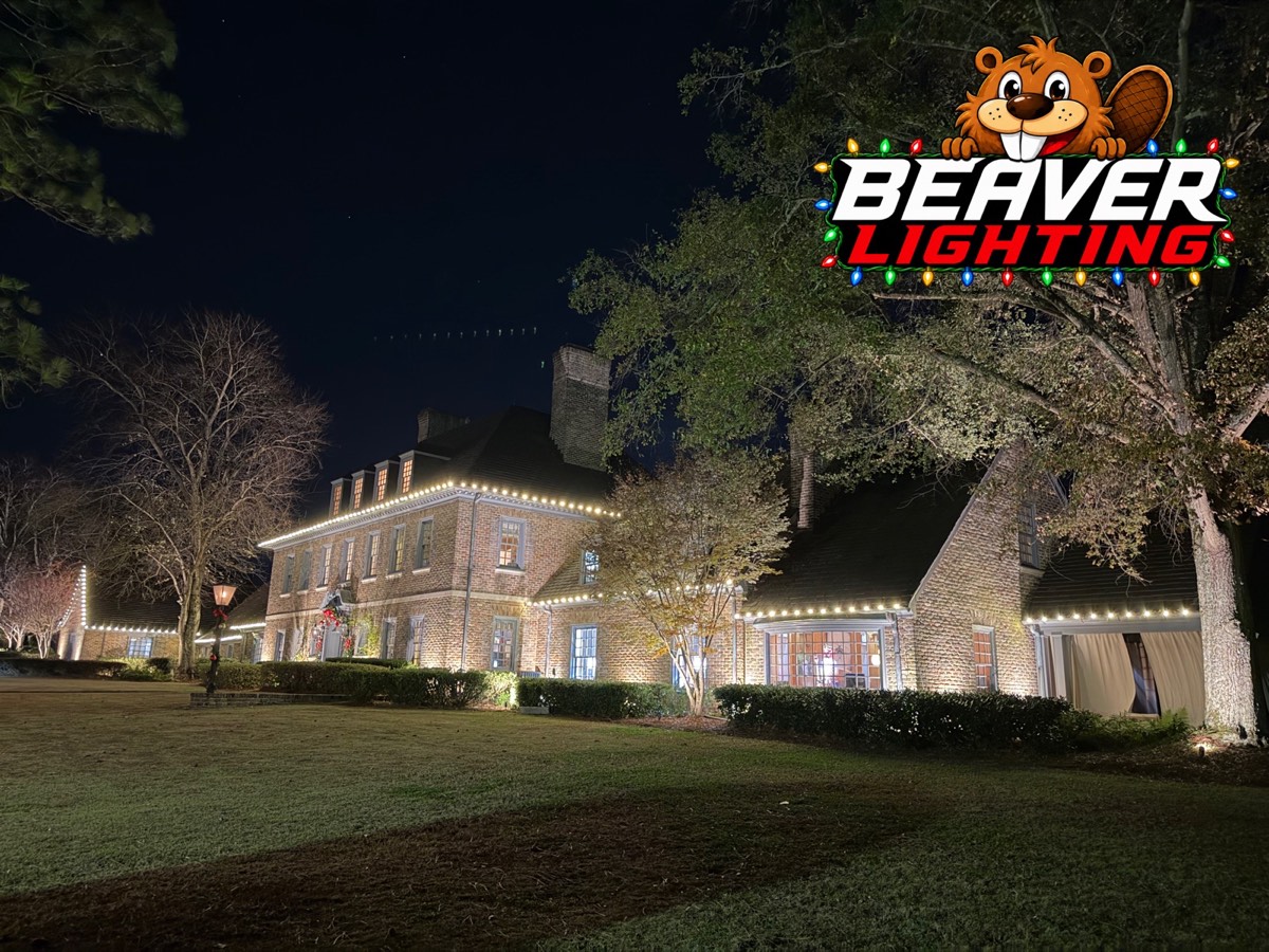 Beaver Lighting project photo 072