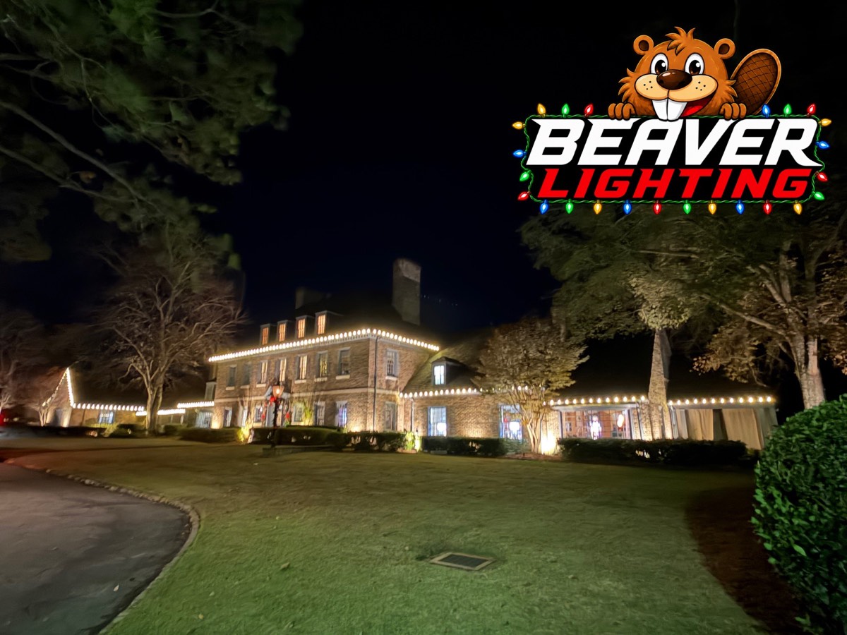 Beaver Lighting project photo 073