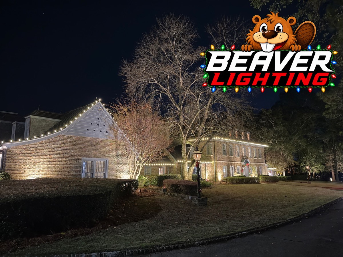 Beaver Lighting project photo 074