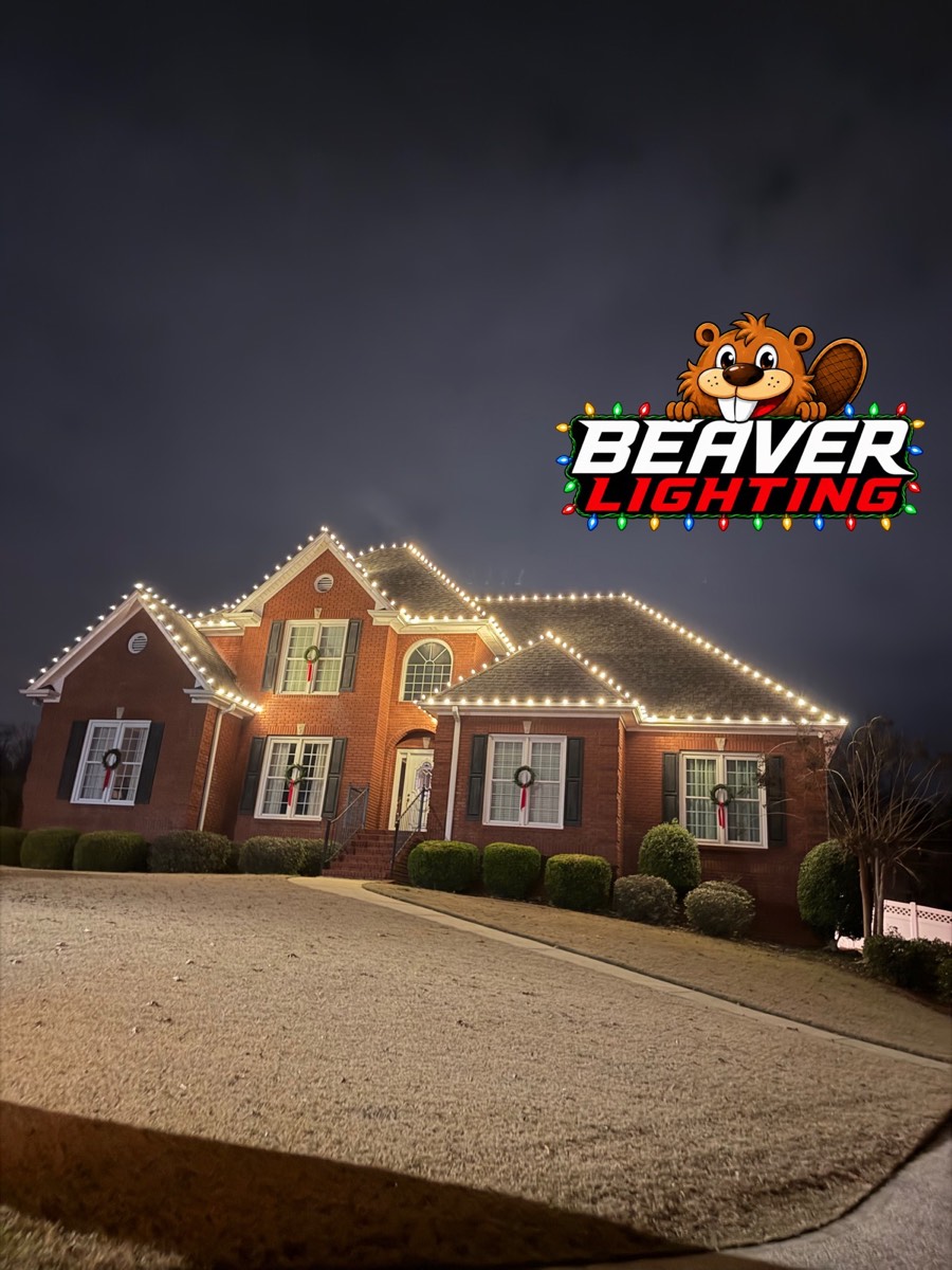 Beaver Lighting project photo 075
