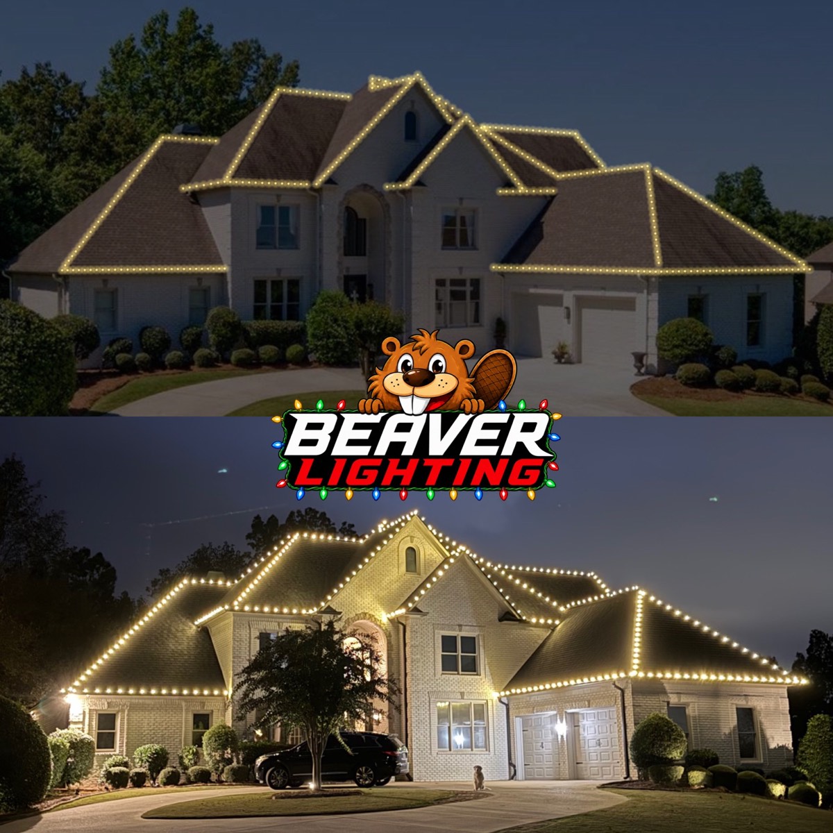 Beaver Lighting project photo 079