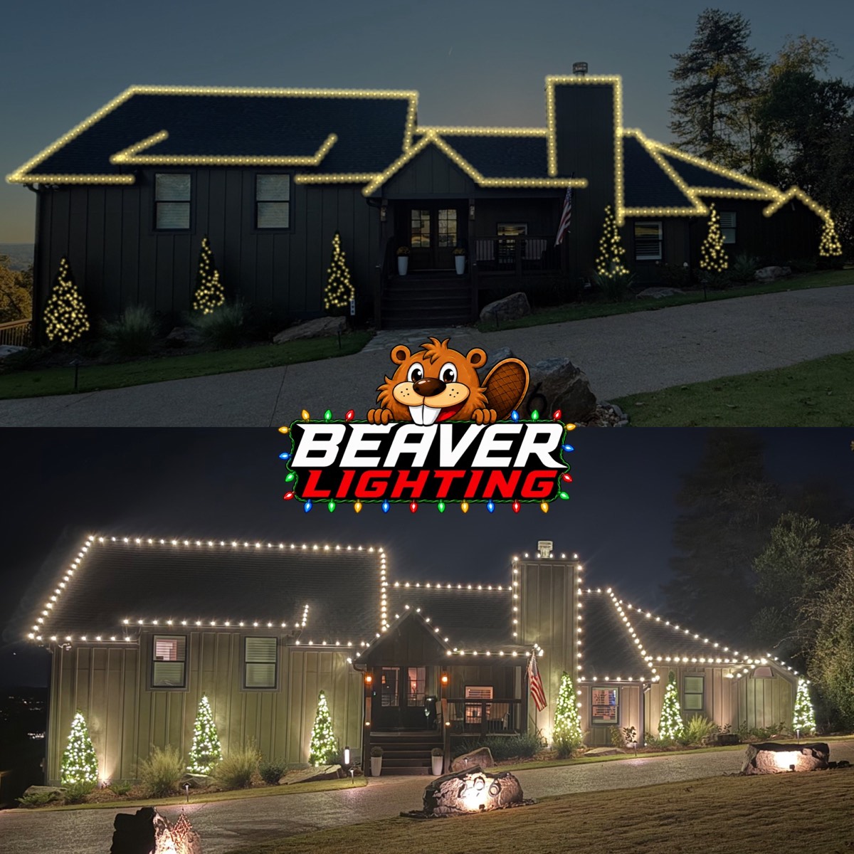 Beaver Lighting project photo 080
