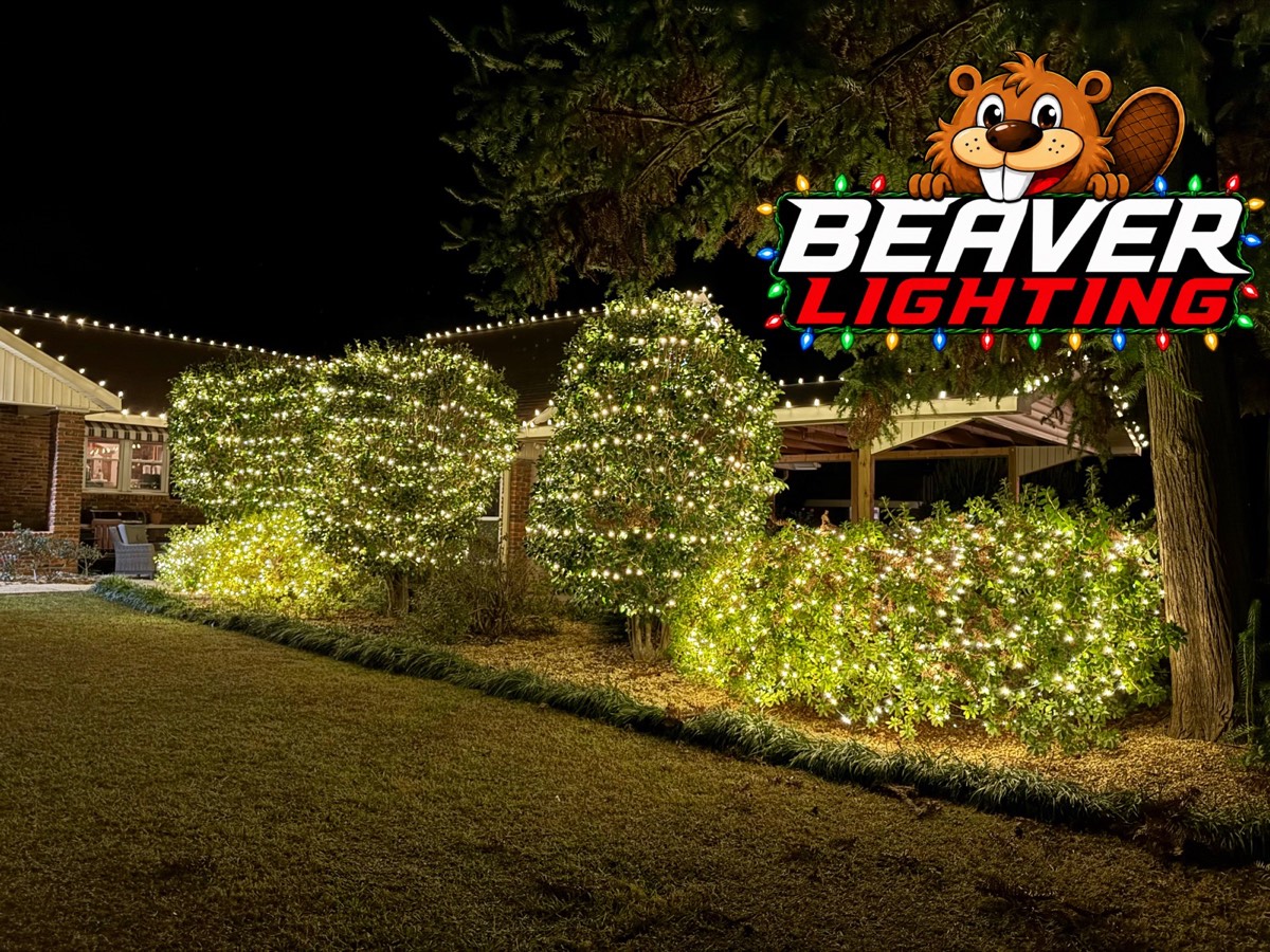 Beaver Lighting project photo 082
