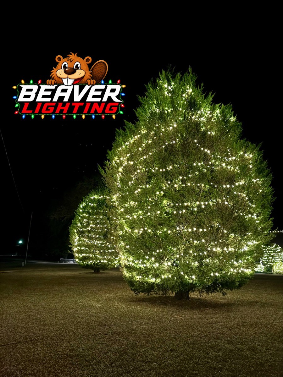 Beaver Lighting project photo 083