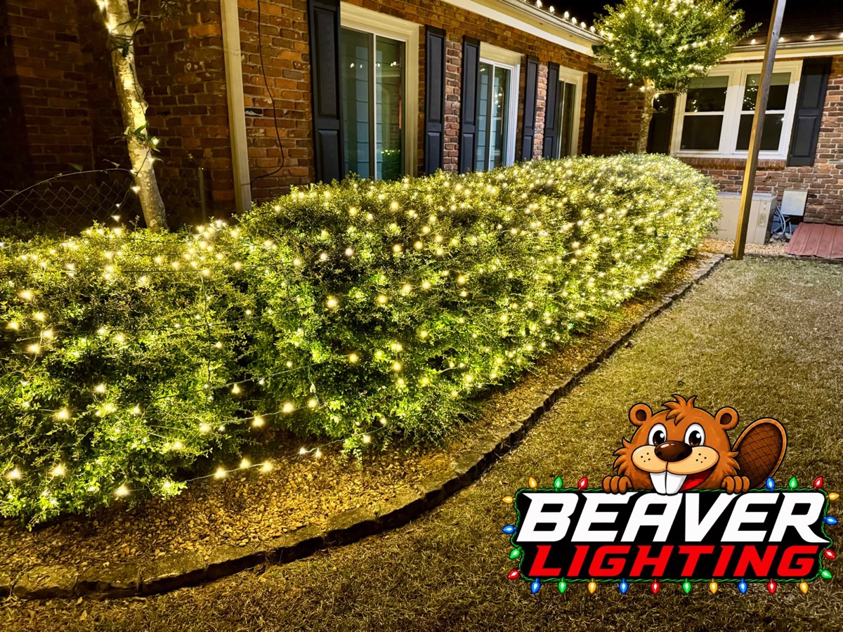 Beaver Lighting project photo 084